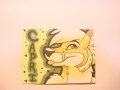DSC00253.JPG